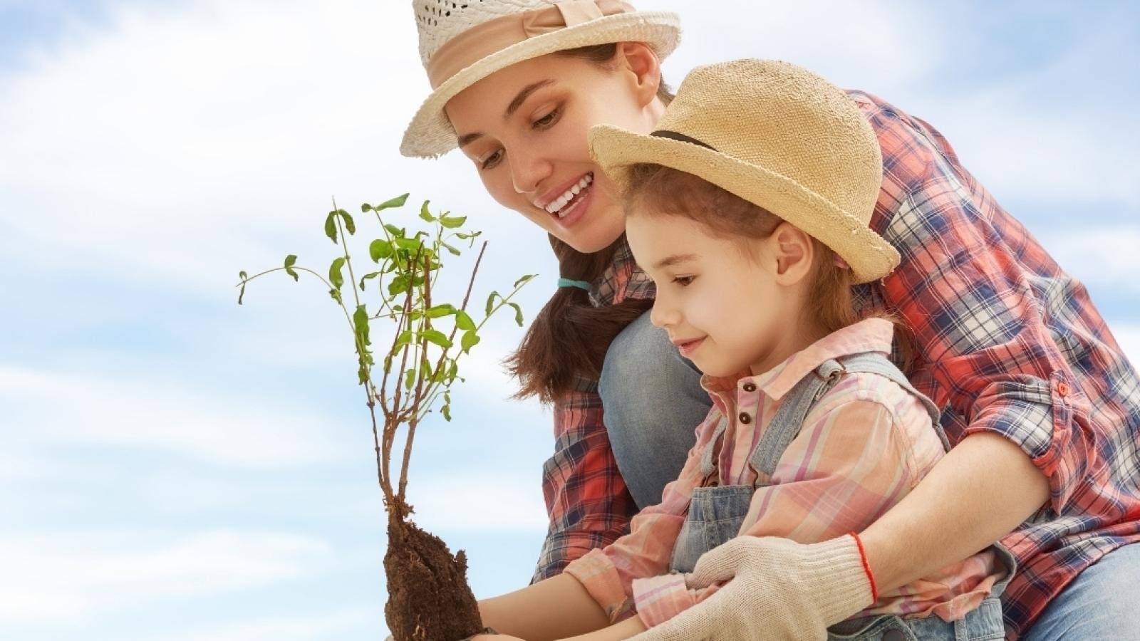 “Teşekkür Etmenin En Sessiz Yolu: Bir Fidan”