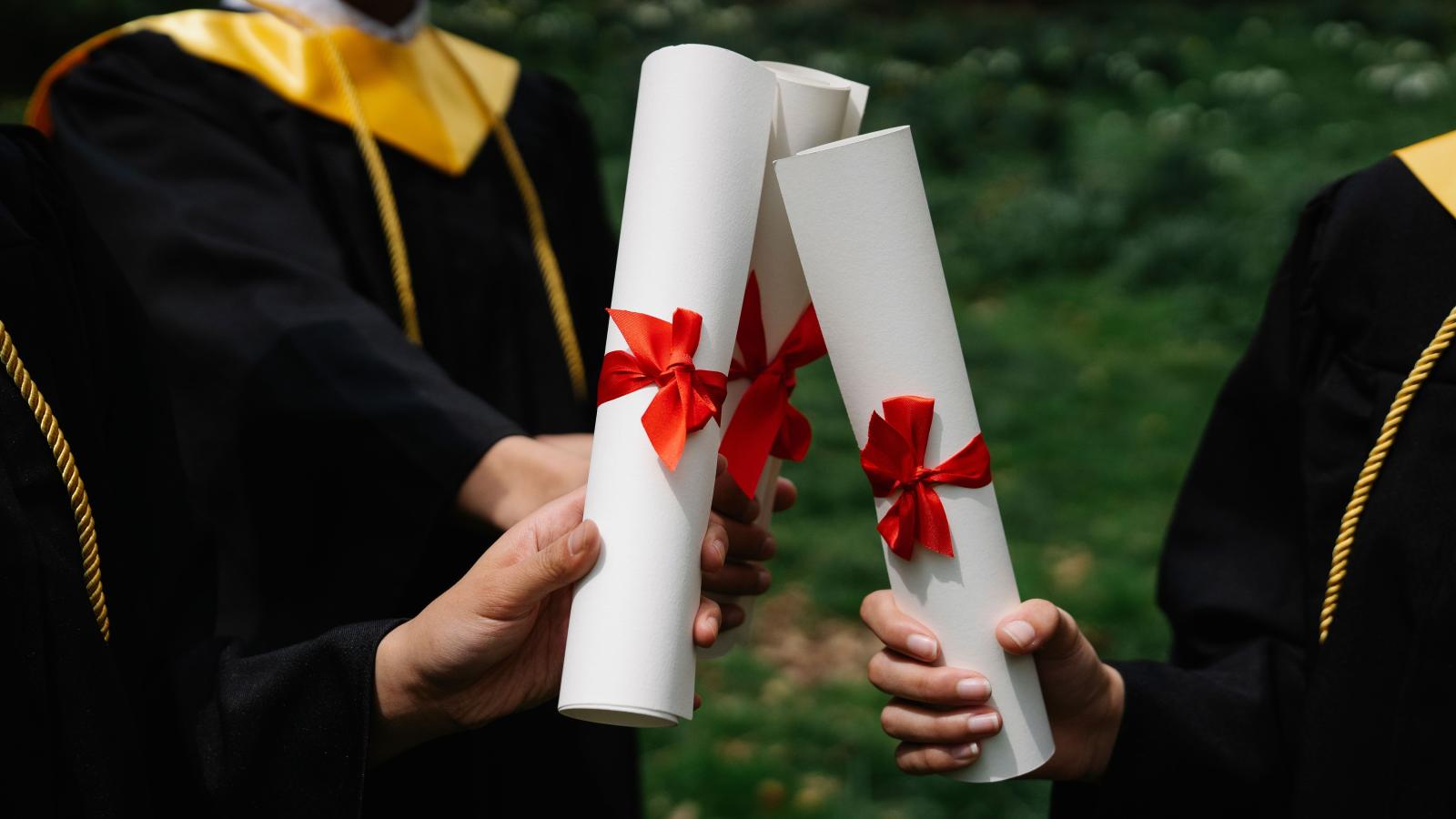 Diplomayı Aldım, Şimdi Ne Yapacağım?